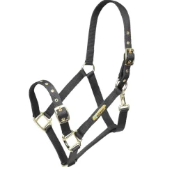 Adjustable Headcollar