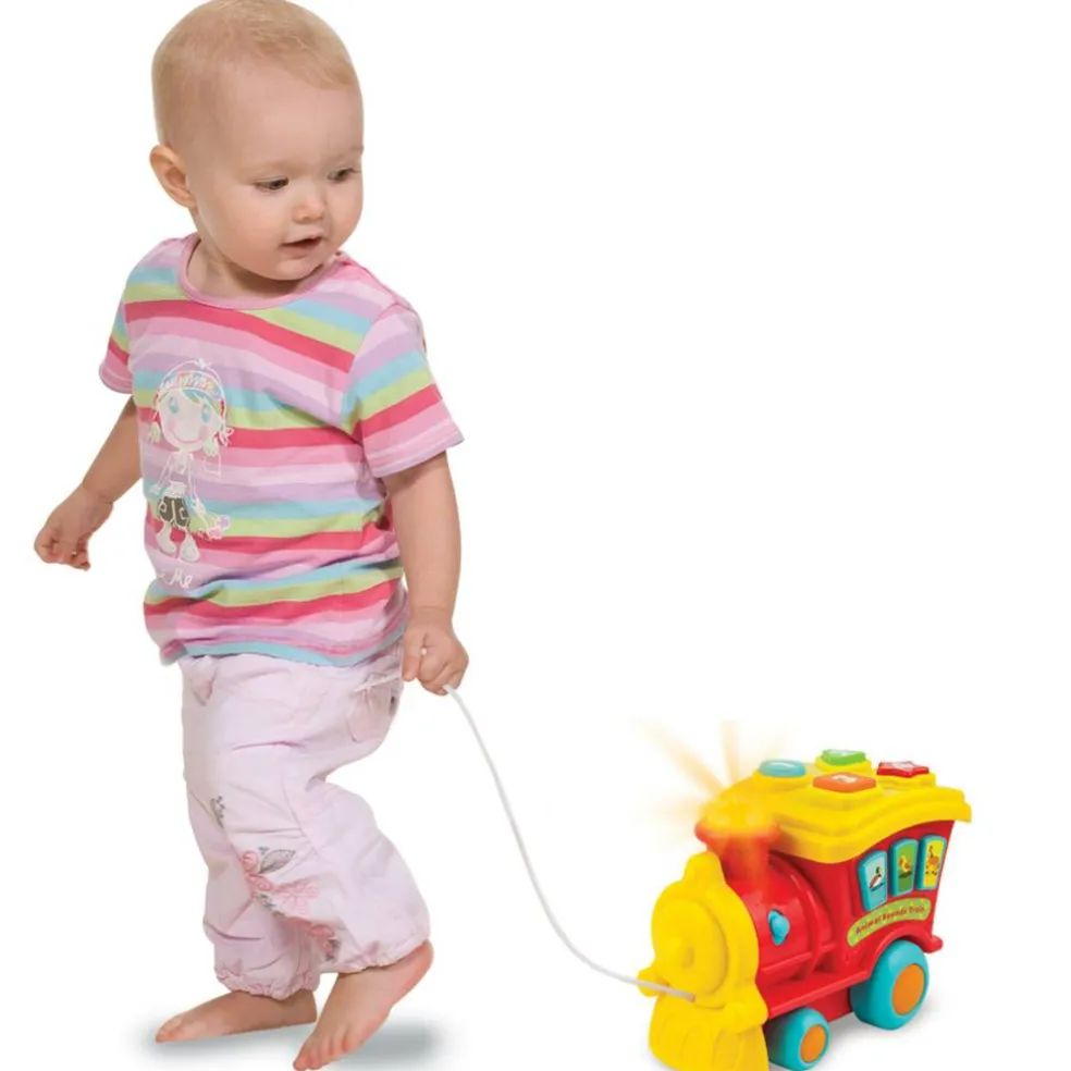 Animal Sounds Train