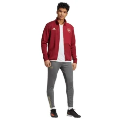 Arsenal Anthem Jacket 2023 2024 Adults
