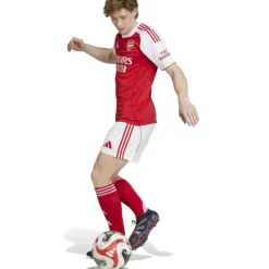 Arsenal Home Shorts 2025 2026 Adults