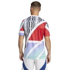 Arsenal Pre Match Shirt 2024 2025 Adults