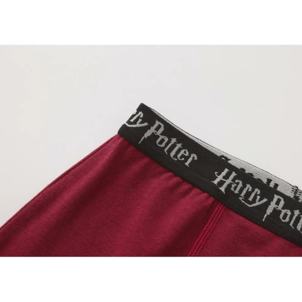Boxer Briefs for Boys