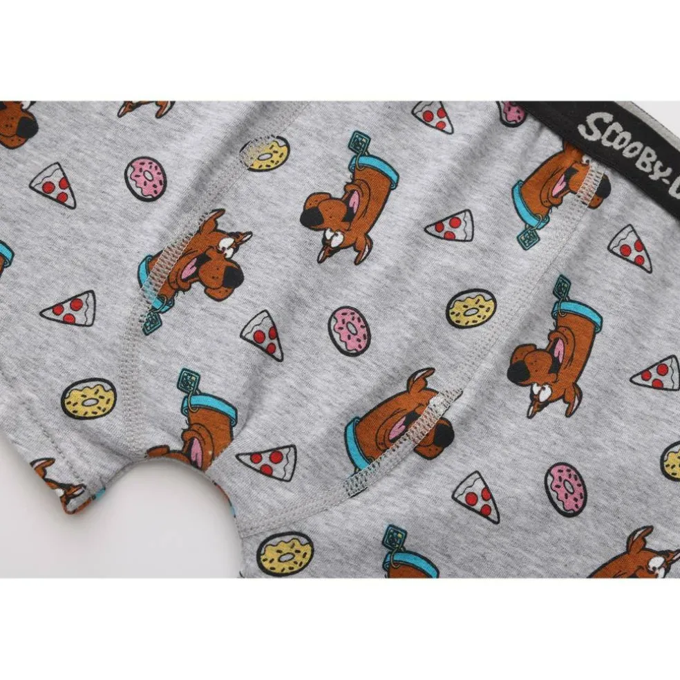 Boxer Briefs for Boys