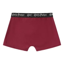 Boxer Briefs for Boys