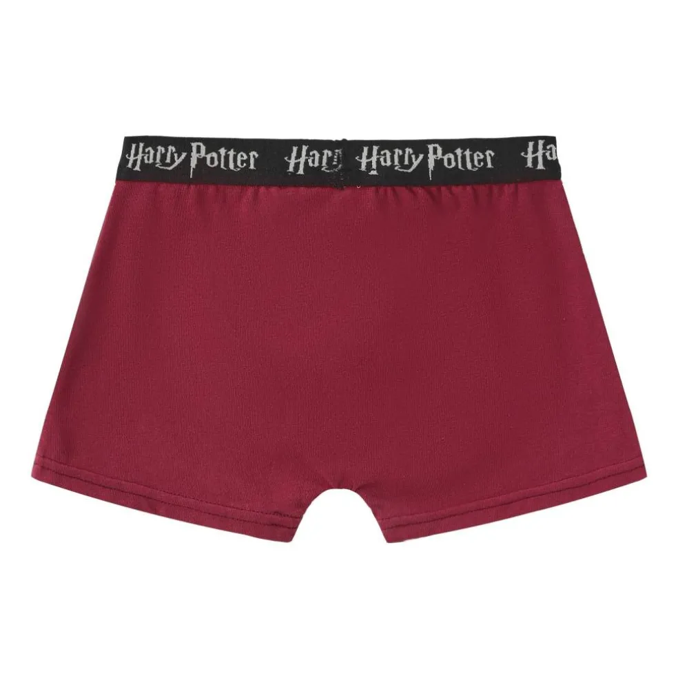 Boxer Briefs for Boys