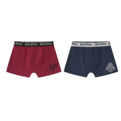 Boxer Briefs for Boys