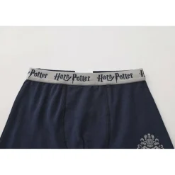 Boxer Briefs for Boys