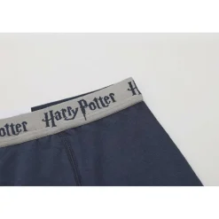 Boxer Briefs for Boys