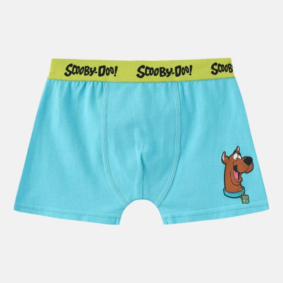 Boxer Briefs for Boys