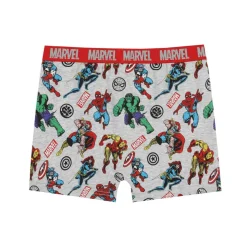 Boxer Briefs for Boys