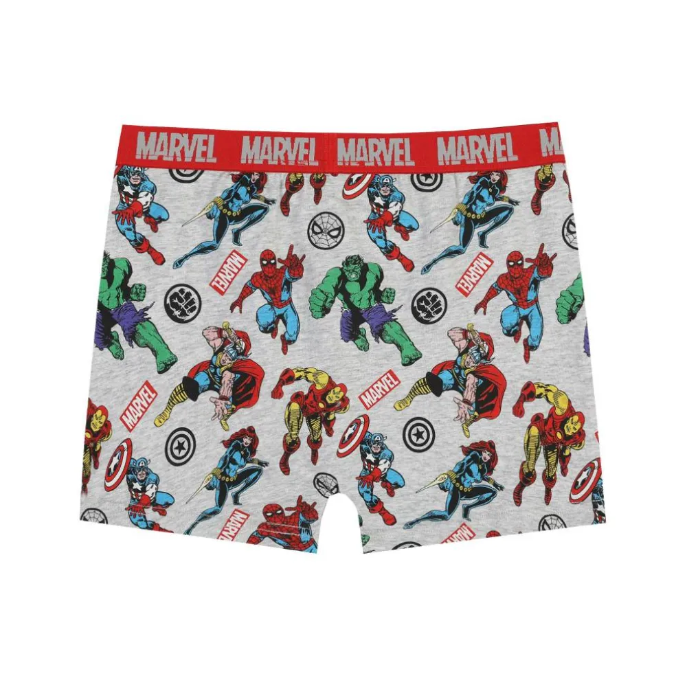 Boxer Briefs for Boys