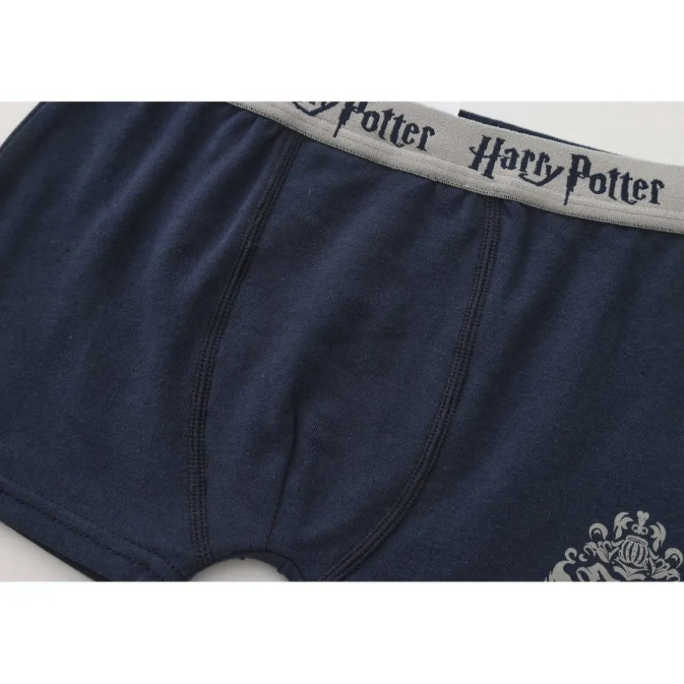 Boxer Briefs for Boys