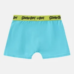 Boxer Briefs for Boys