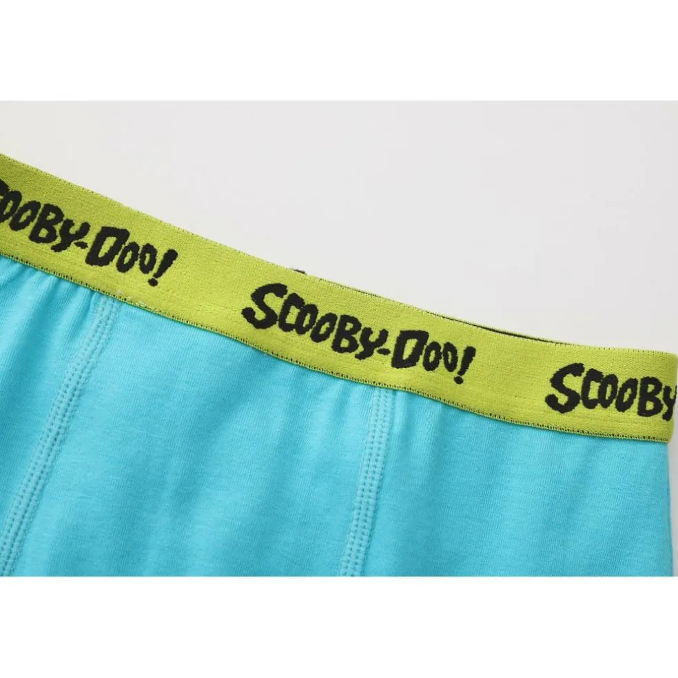 Boxer Briefs for Boys