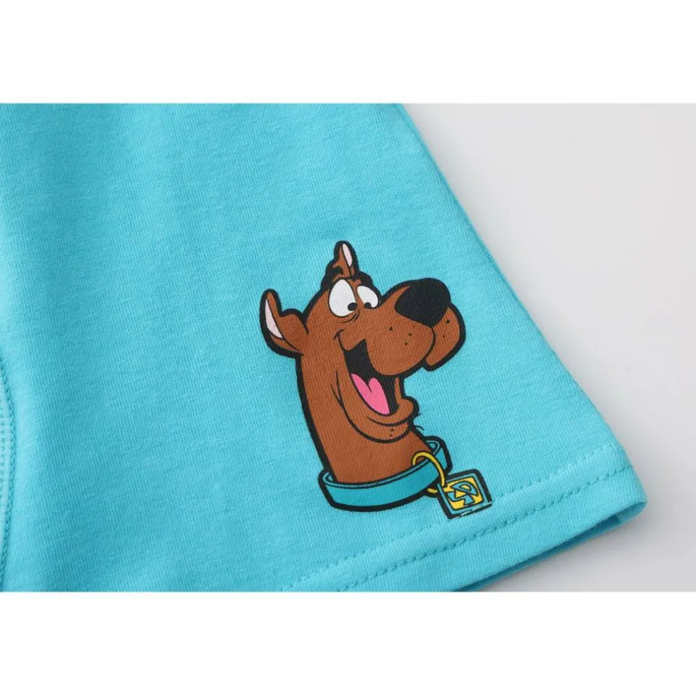 Boxer Briefs for Boys