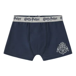 Boxer Briefs for Boys
