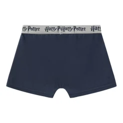 Boxer Briefs for Boys
