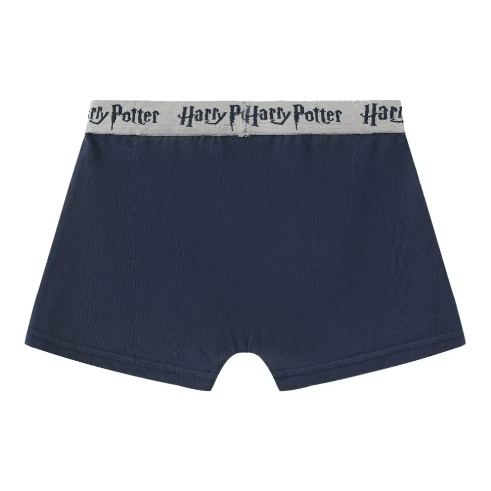 Boxer Briefs for Boys