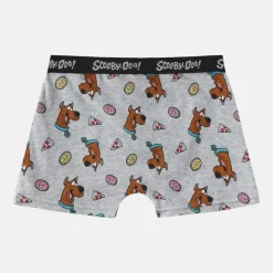Boxer Briefs for Boys