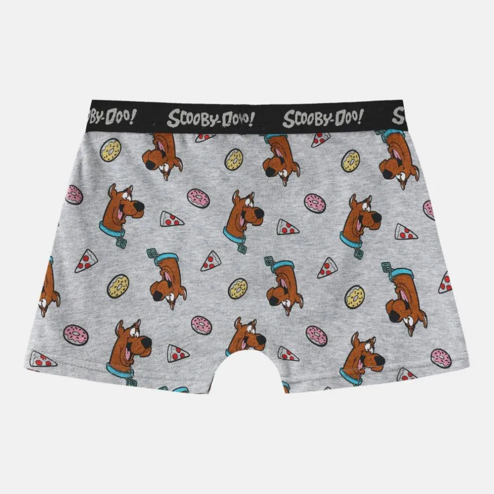 Boxer Briefs for Boys