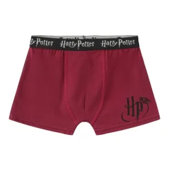 Boxer Briefs for Boys