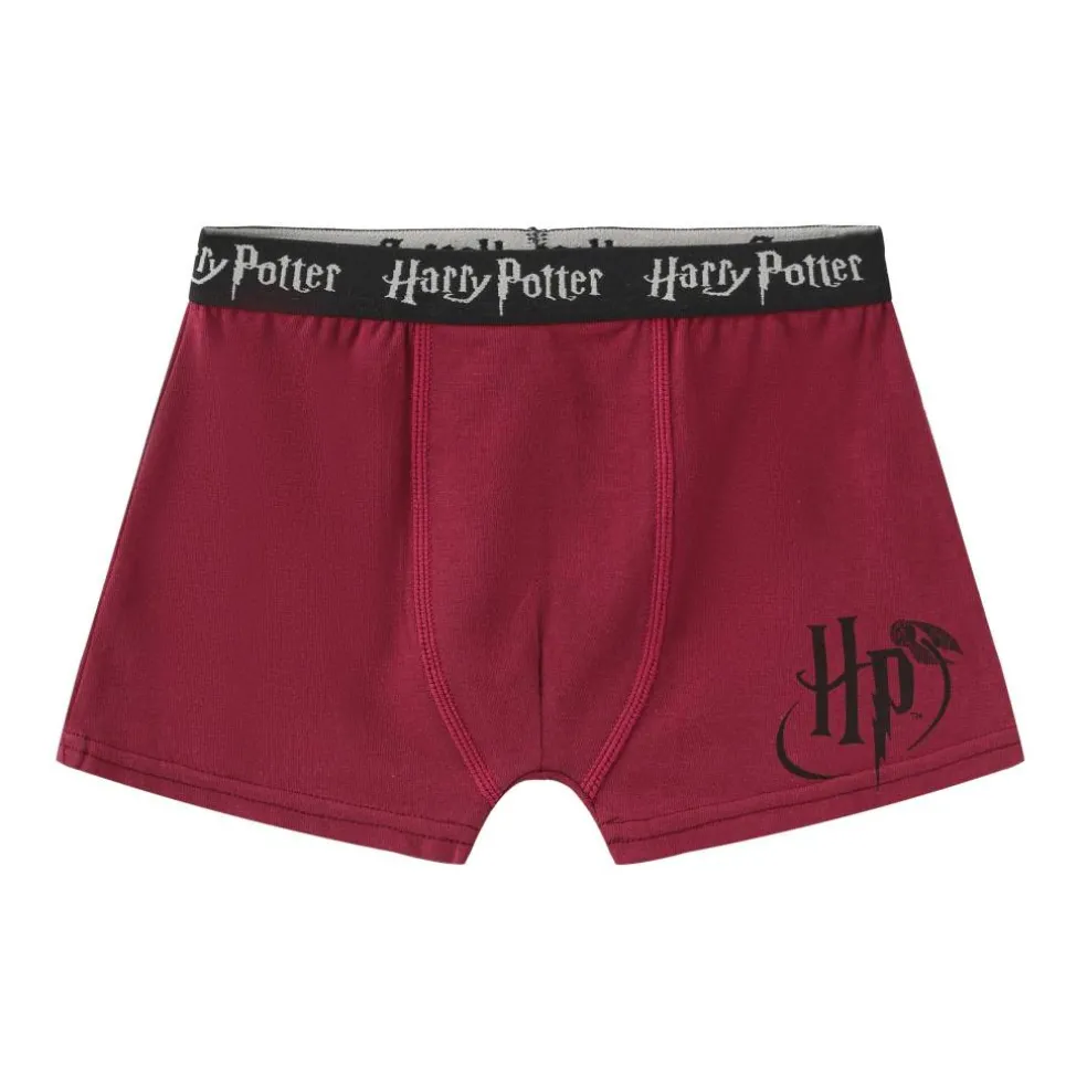 Boxer Briefs for Boys