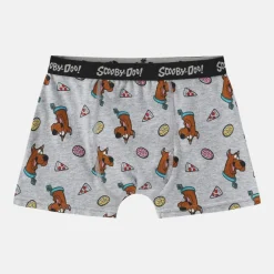 Boxer Briefs for Boys