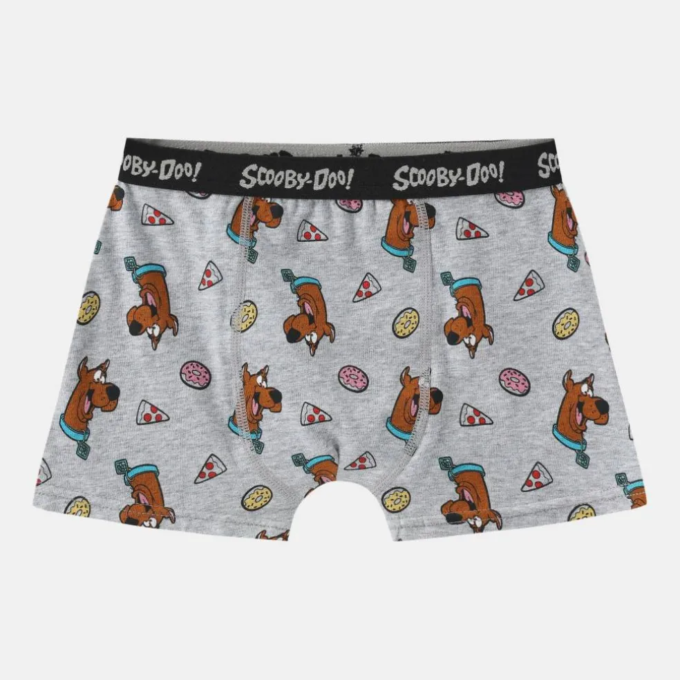 Boxer Briefs for Boys