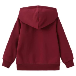 Character Fleece-Lined Hoodie Infant
