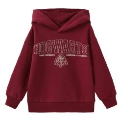 Character Fleece-Lined Hoodie Infant