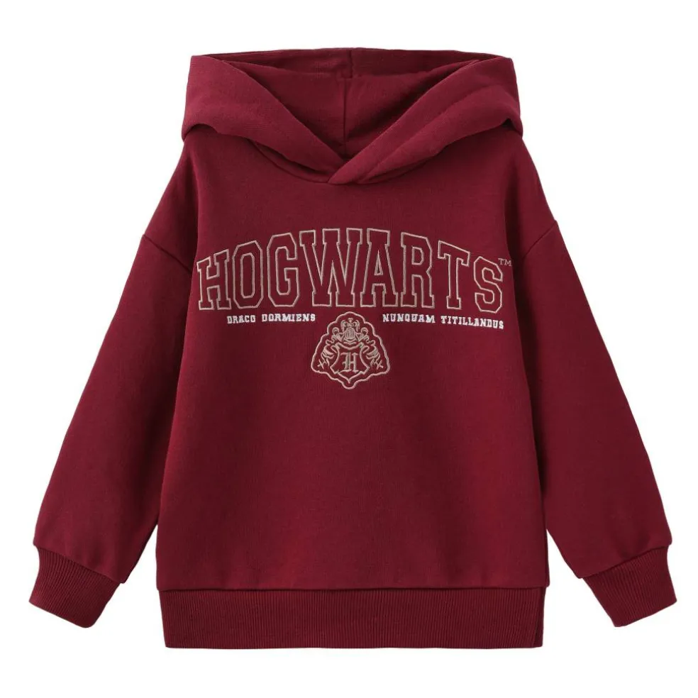 Character Fleece-Lined Hoodie Infant