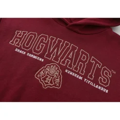 Character Fleece-Lined Hoodie Infant