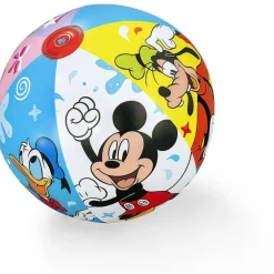 Character Inflatable Beach Ball