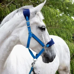 Club Headcollar and Lead Rope Set