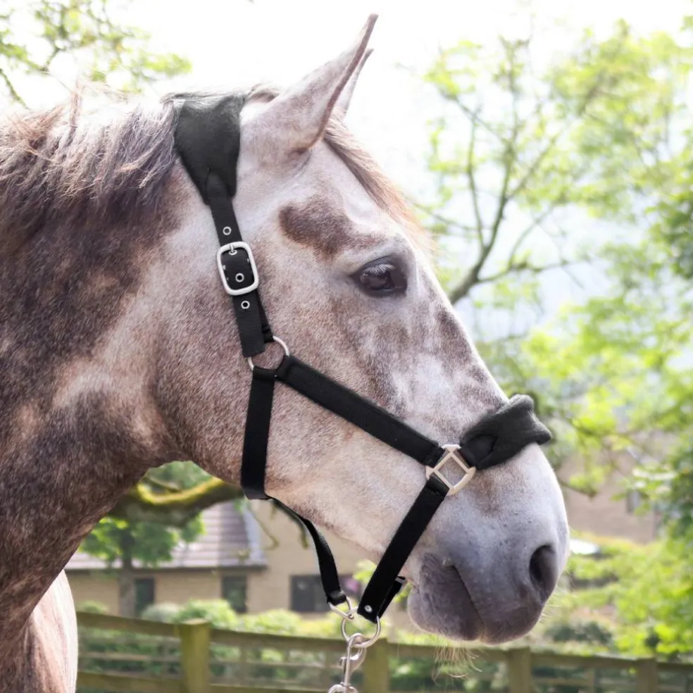 Club Headcollar and Lead Rope Set