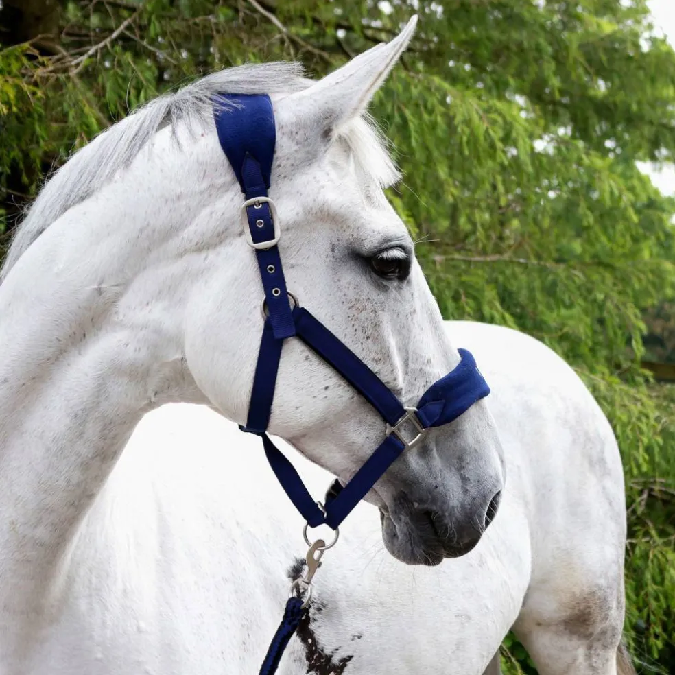 Club Headcollar and Lead Rope Set