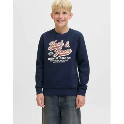 Colour Logo Crew Sweat Junior Boys