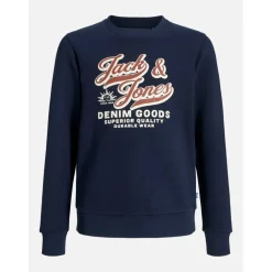 Colour Logo Crew Sweat Junior Boys