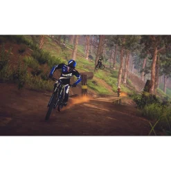 Descenders