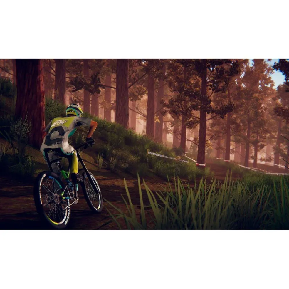 Descenders