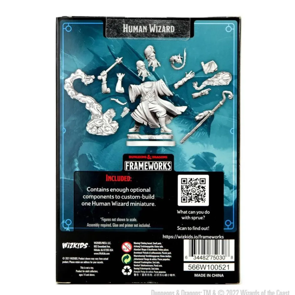 Dungeons & Dragons Frameworks: Human Wizard Male