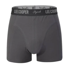 Essential Boxer Trunk 10-Pack Mens