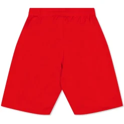 (3) Fb Team Shorts With Brief Juniors
