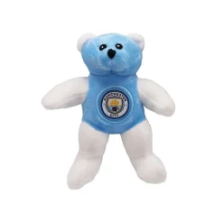 Football Beanie Bear