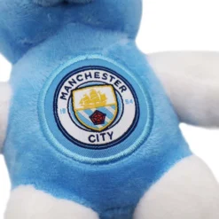 Football Beanie Bear