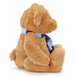Football Licensed Supersoft Classic Bear 25 cm