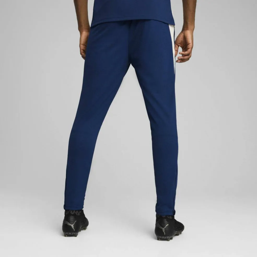 Fpf Training Pants Tracksuit Bottom Mens