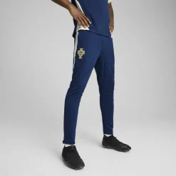 Fpf Training Pants Tracksuit Bottom Mens