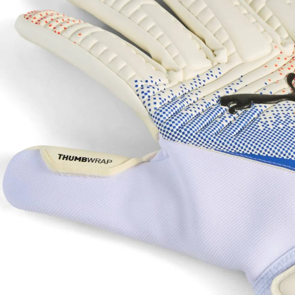 Future Match Goalkeeper Gloves Adults