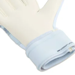 Future Match Goalkeeper Gloves Adults